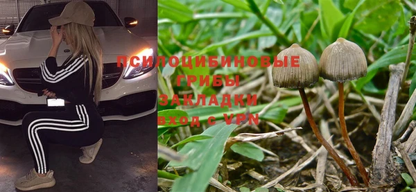 твердый Нягань