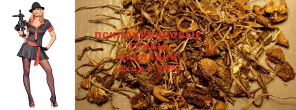 наркотики Видное