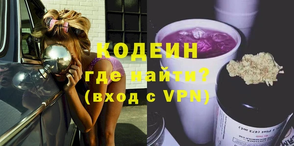 молекула духа Няндома