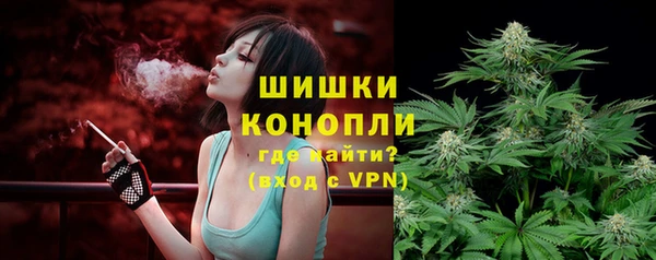 молекула духа Няндома