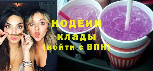 молекула духа Няндома