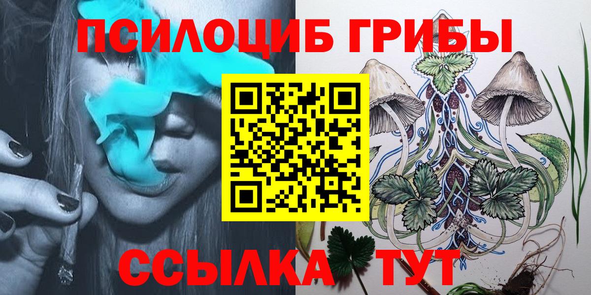Галлюциногенные грибы Magic Shrooms  Вход с VPN  Урюпинск  Галлюциногенные грибы Psilocybe 