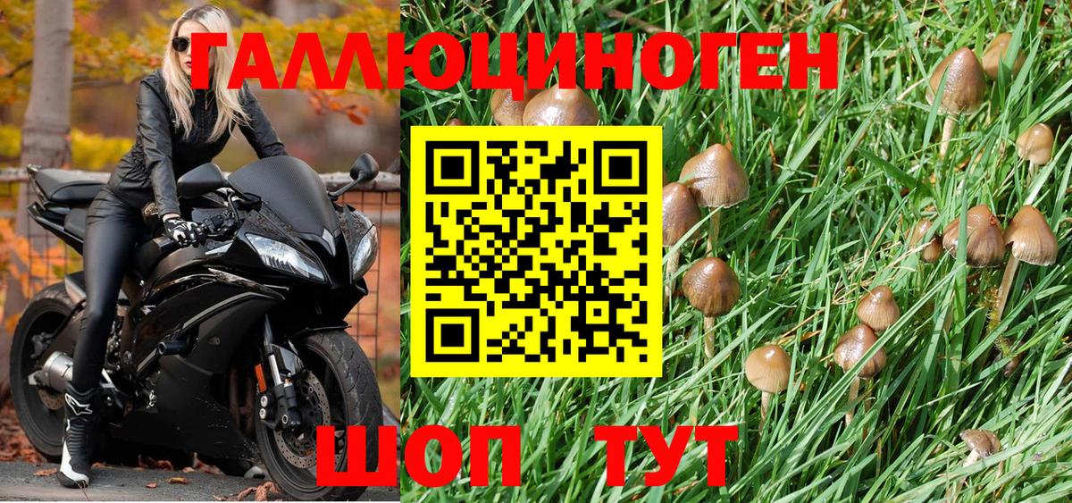 магазин  наркотиков  Урюпинск  Псилоцибиновые грибы мухоморы 